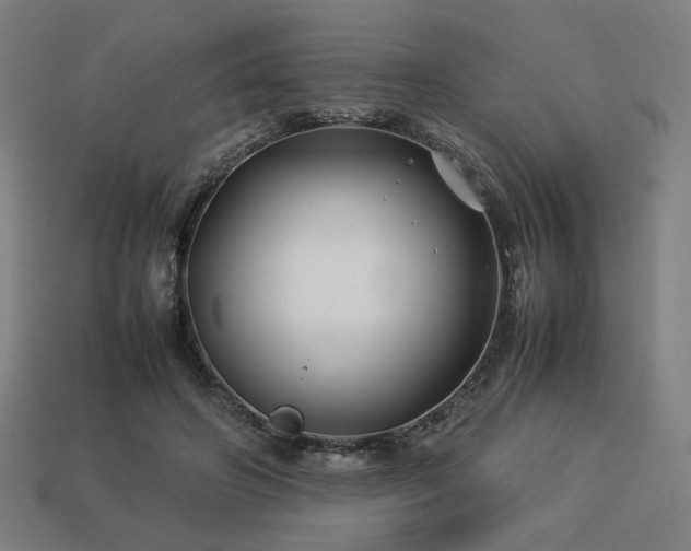 X0000113760498200909231208