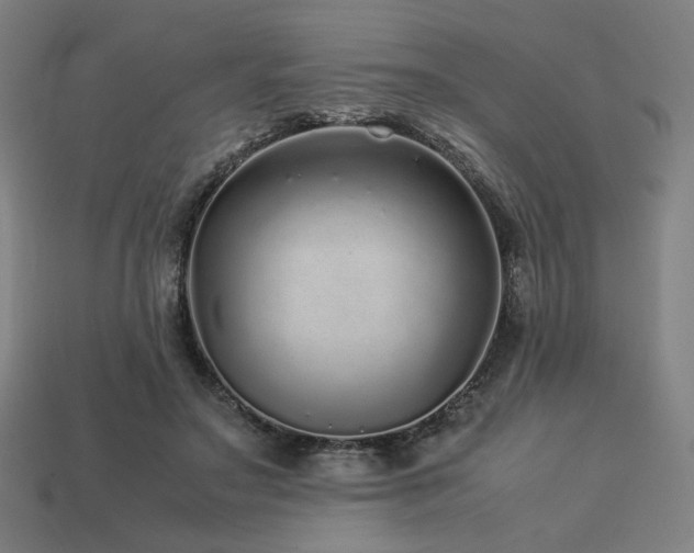 X0000113760499200909231208