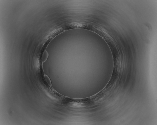 X0000113760500200909231208