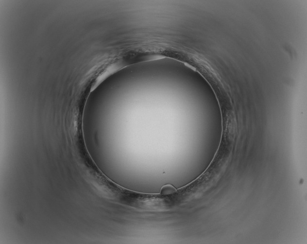 X0000113760501200909231208