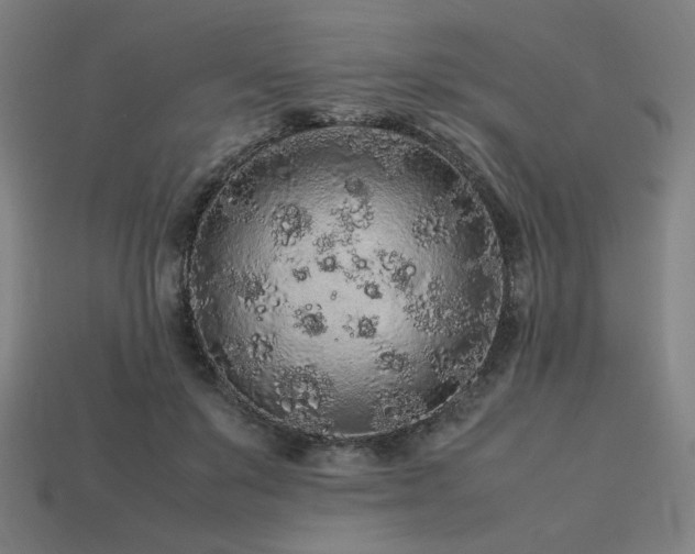 X0000113760503200909231208