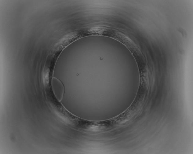 X0000113760504200909231208