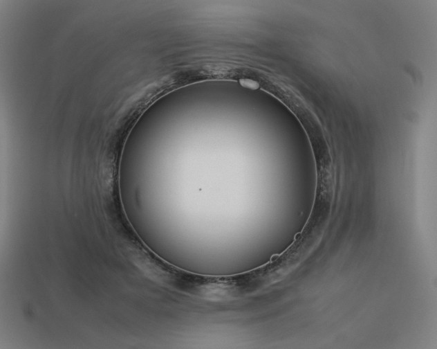 X0000113760505200909231208