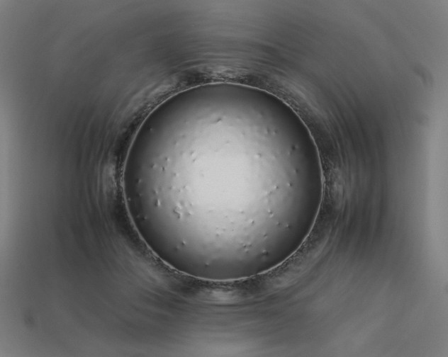 X0000113760506200909231208