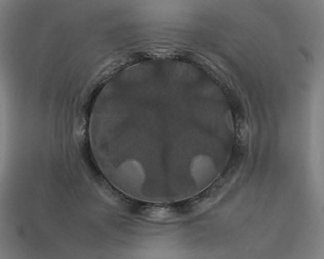 X0000113760507200909231208