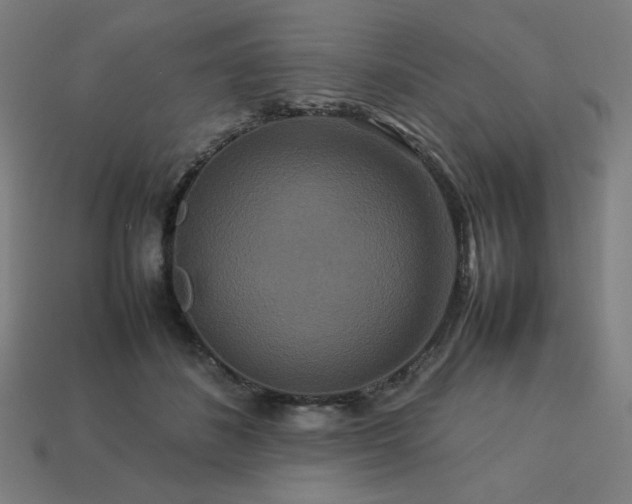 X0000113760508200909231208