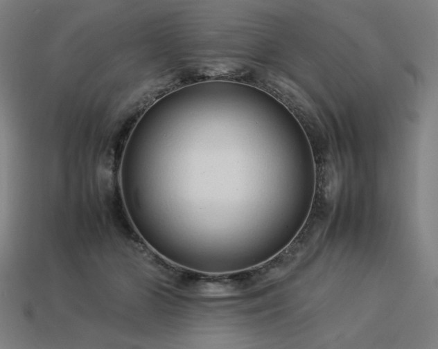 X0000113760510200909231208