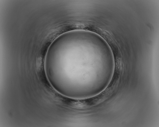 X0000113760511200909231208