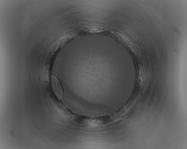 X0000113760512200909231208
