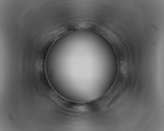 X0000113760514200909231208