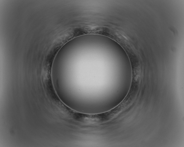 X0000113760515200909231208