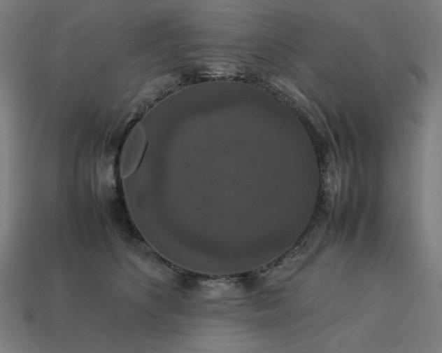 X0000113760516200909231208