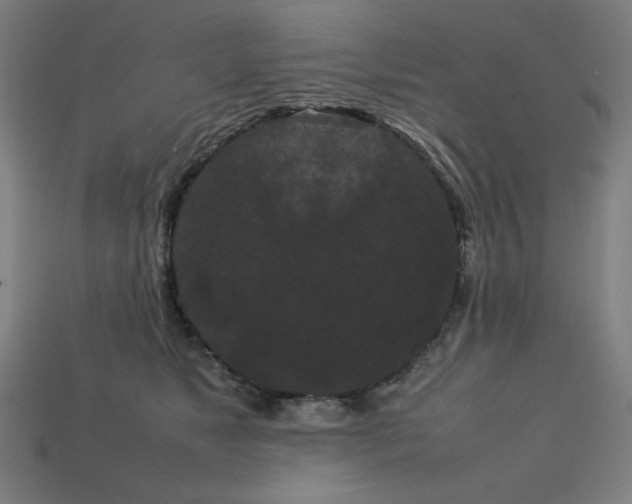 X0000113760517200909231208