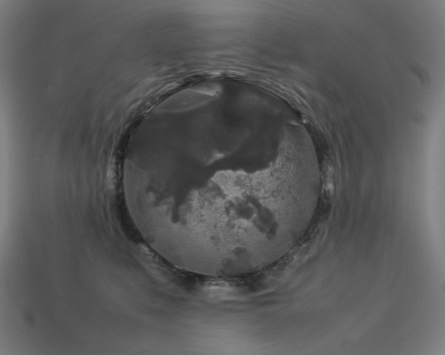X0000113760519200909231208