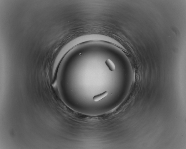 X0000113760520200909231208