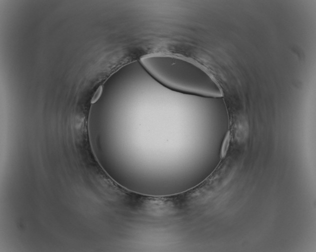 X0000113760521200909231208