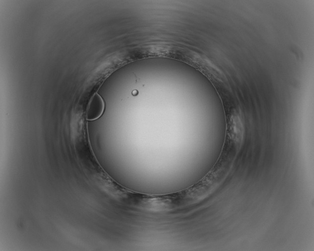 X0000113760522200909231208
