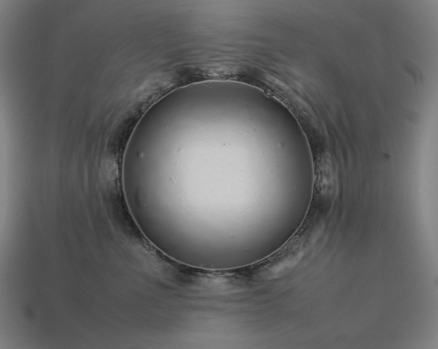 X0000113760523200909231208