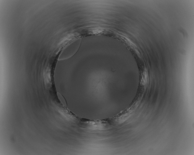 X0000113760524200909231208