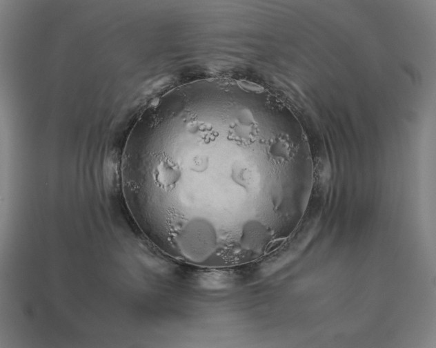 X0000113760527200909231208