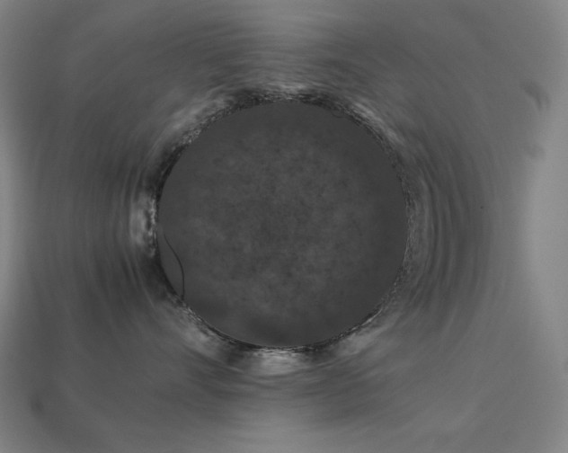 X0000113760528200909231208