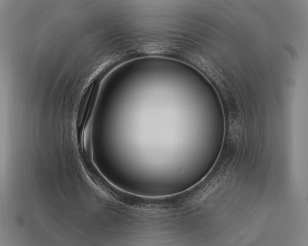 X0000113760530200909231207