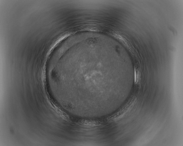 X0000113760531200909231207