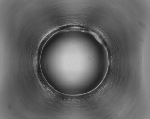 X0000113760532200909231207