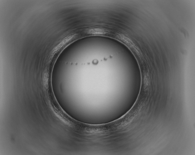 X0000113760533200909231207