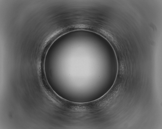 X0000113760535200909231207