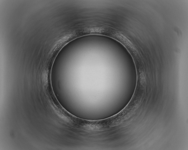 X0000113760537200909231207