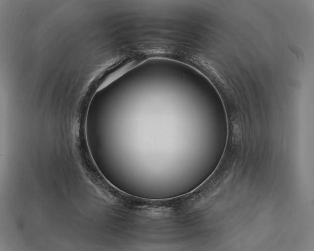 X0000113760539200909231207
