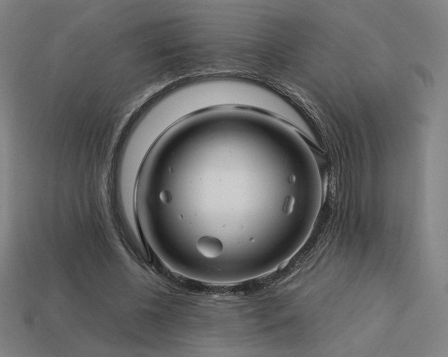 X0000113760540200909231207