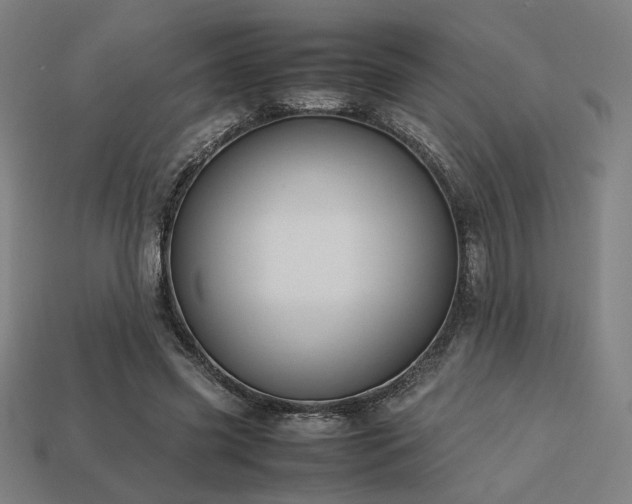 X0000113760541200909231207