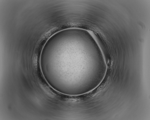 X0000113760542200909231207