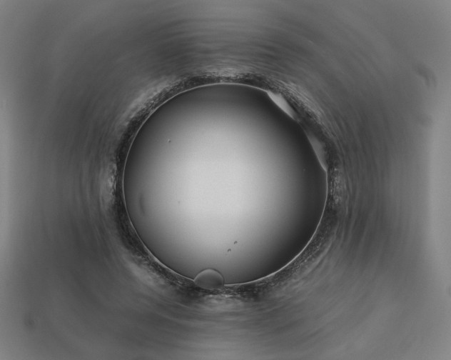 X0000113760544200909231207