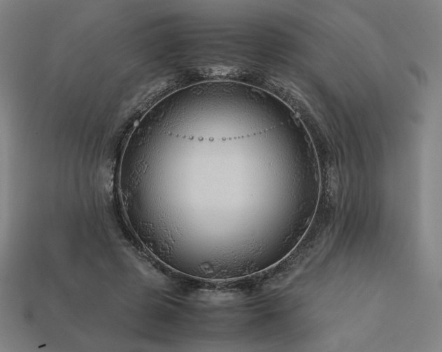 X0000113760545200909231207