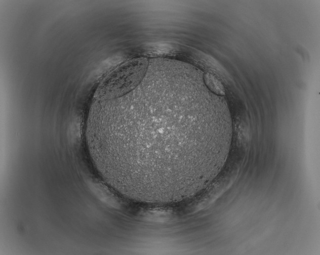 X0000113760546200909231207