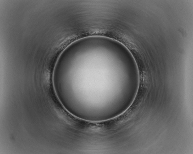 X0000113760550200909231207