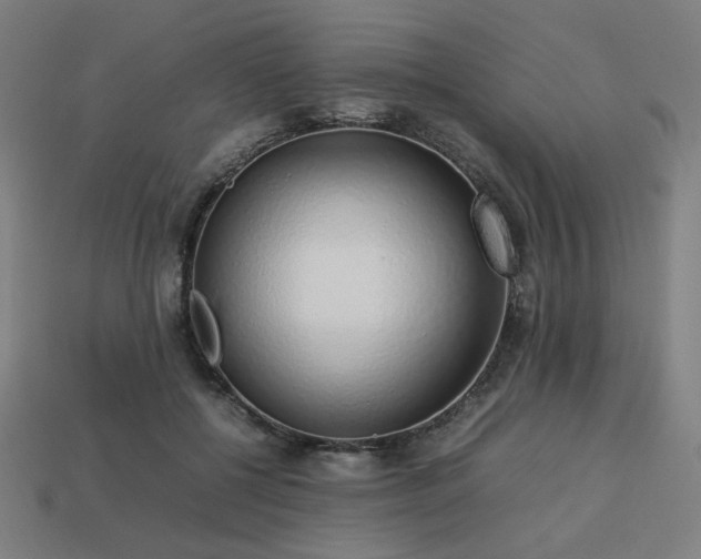 X0000113760552200909231207