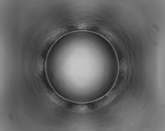 X0000113760554200909231207