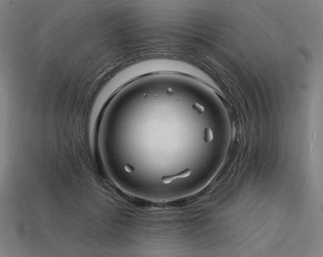 X0000113760556200909231207