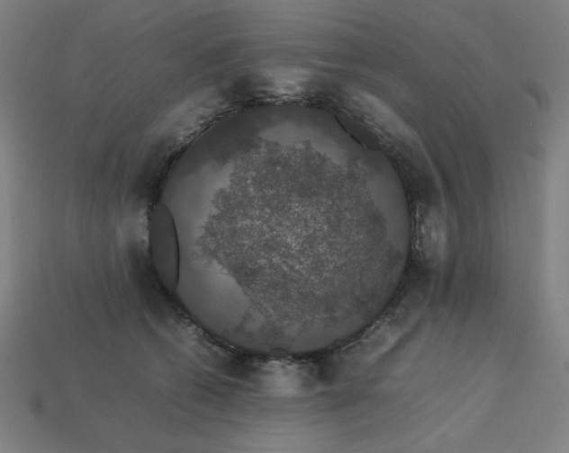 X0000113760562200909231207