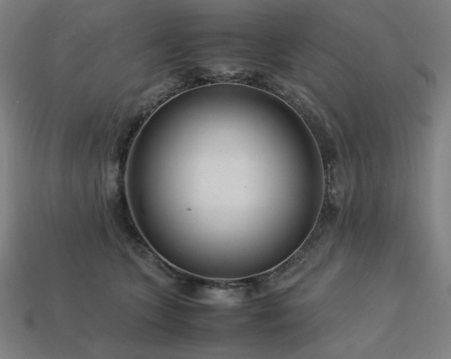 X0000113760563200909231207