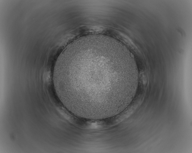 X0000113760564200909231207