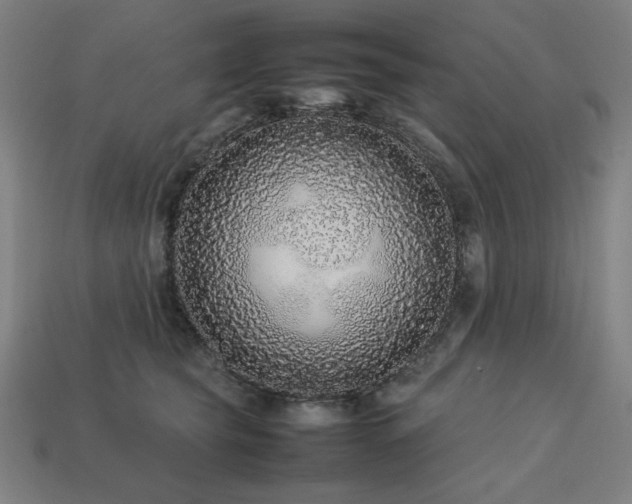 X0000113760565200909231207