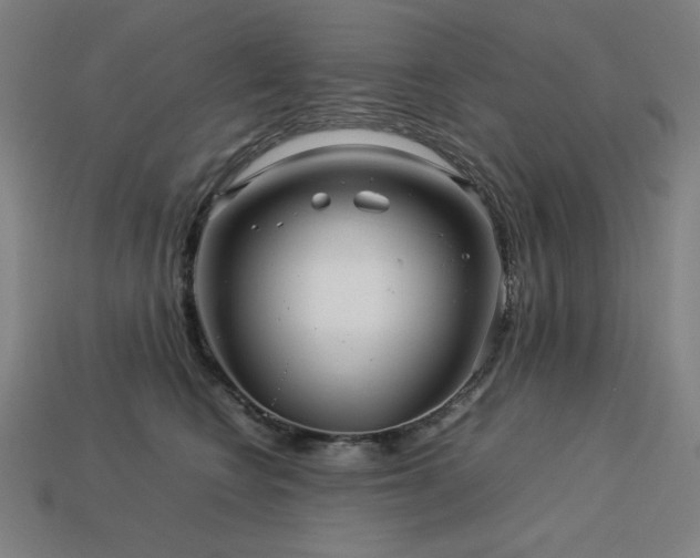 X0000113760566200909231207
