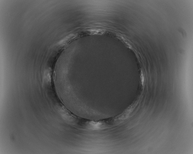 X0000113760570200909231207