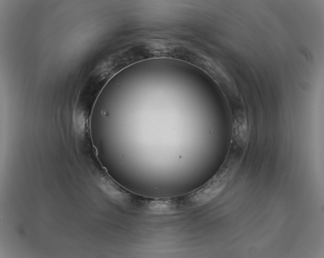 X0000113760574200909231208