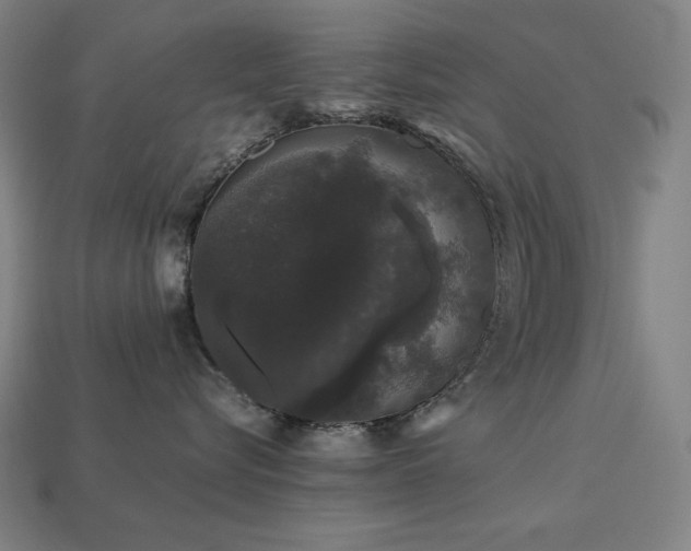 X0000113760576200909231208